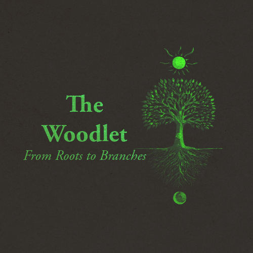 Paganism, Discord, Pagan Discord